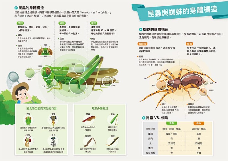 漫畫大英百科 生物地科 （1～5集）